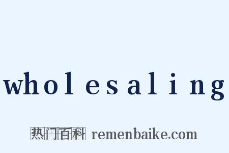 wholesaling是什么意思的图片